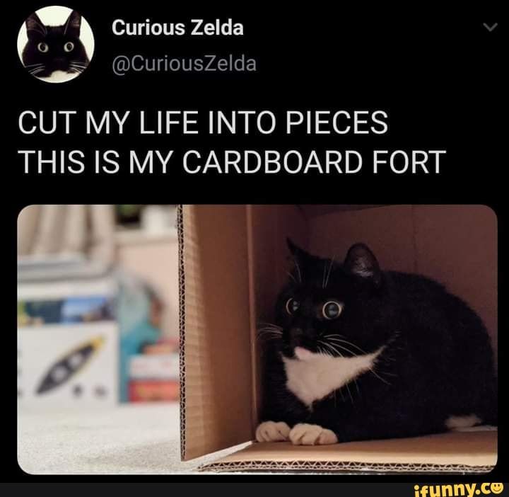 Cut My Life Into Pieces Meme: The Complete Guide (2025)